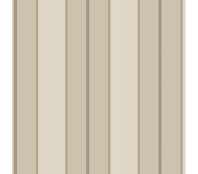 Designer Series Ronald Redding Stripes Resource TR4273