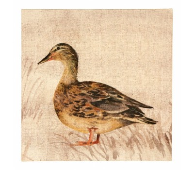 Canvas duck. Duck Canvas.