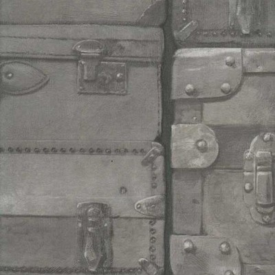 Арт. Luggage Gunmetal